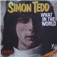 Simon Tedd - What In The World